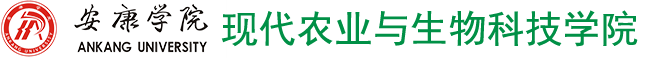 欧足联中文官网入口